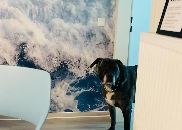 Residenz Bollwark 3 1 Appartamento *